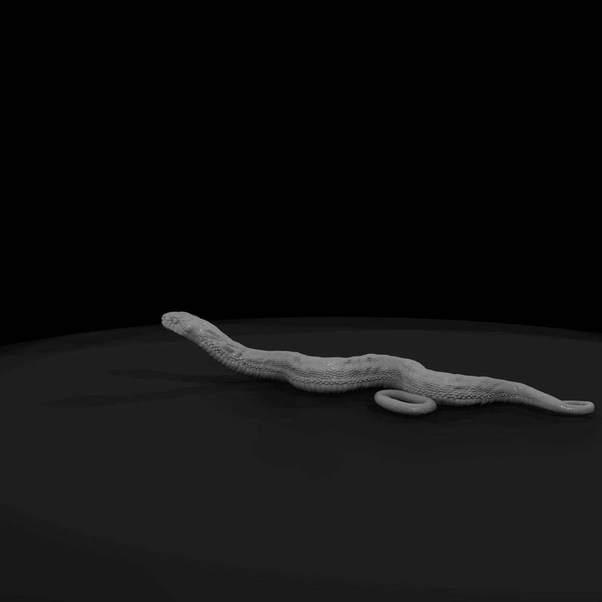 ww-0333-animal-gopher-snake