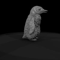 ant-126-emperor-penguin-adolescent-005fe0 — thumbnail 8
