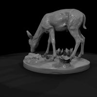 ant-236-thomson-s-gazelle-female — thumbnail 7