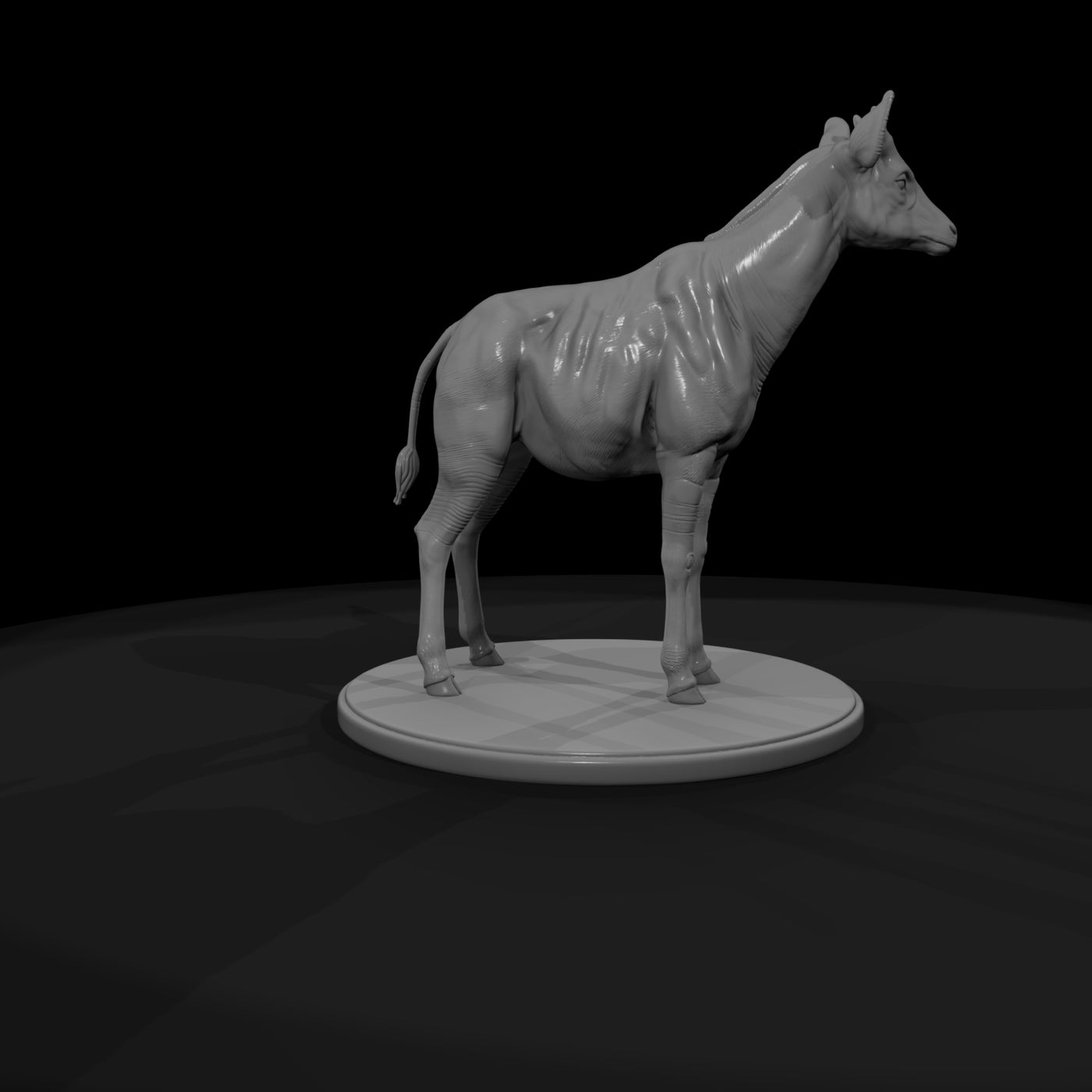 ant-250-okapi-male