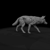 ant-169-coyote-male — thumbnail 7