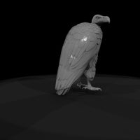 realistic-vulture-miniature-for-dioramas-830933 — thumbnail 8