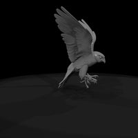 perching-falcon-miniature-sculpted-diorama-bird-404946 — thumbnail 8