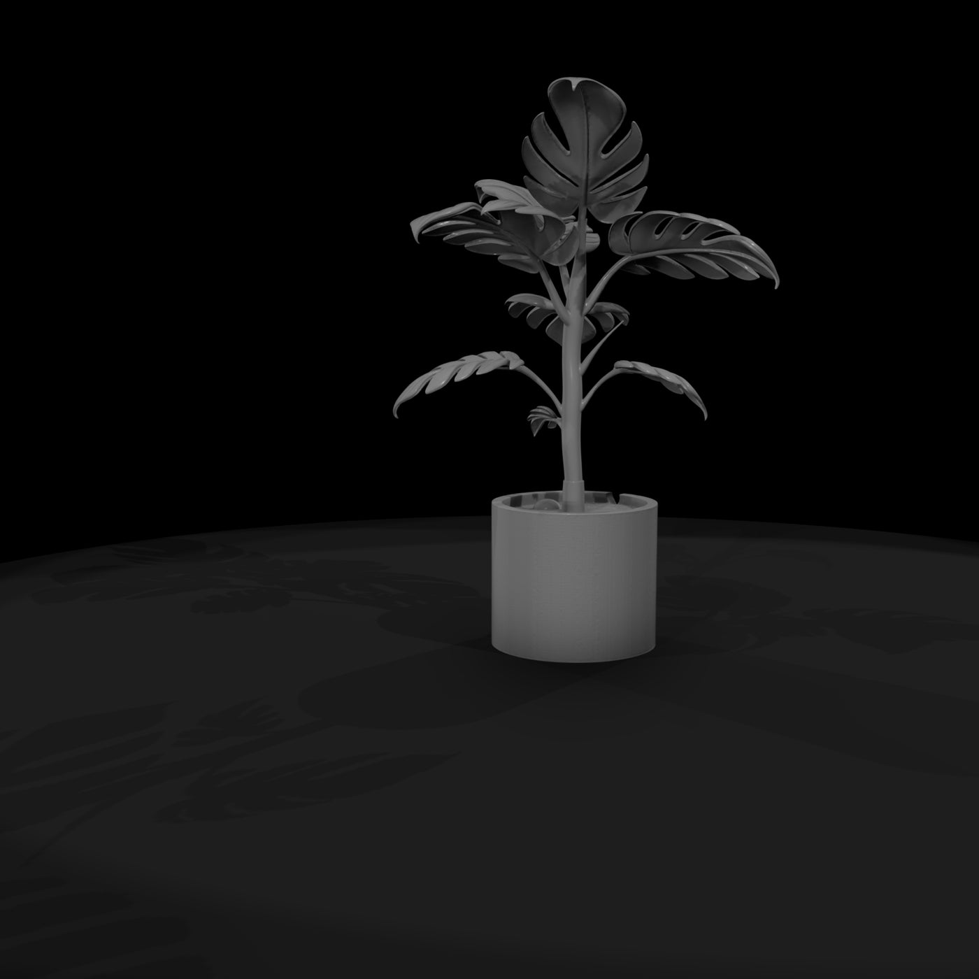 stylized-monochrome-potted-monstera-3d-model-4kilt