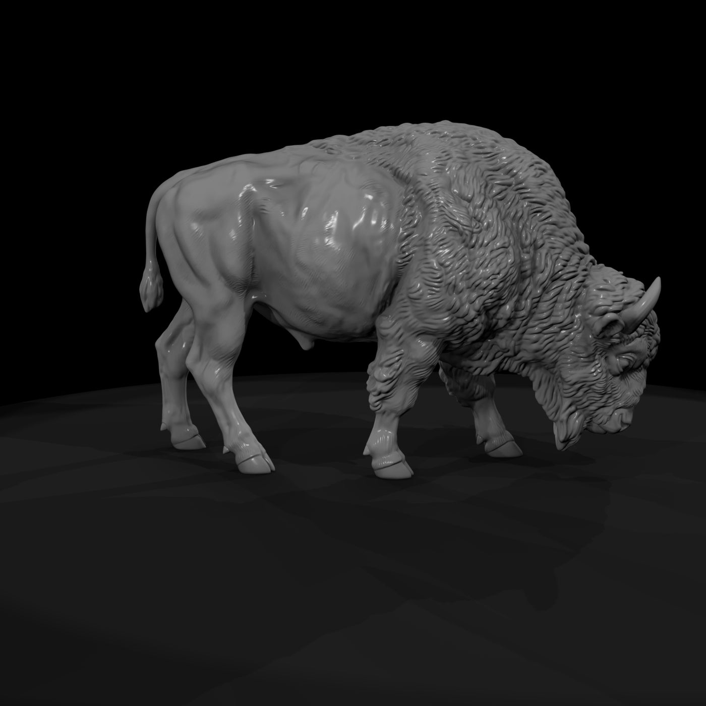 ant-050-american-bison-female