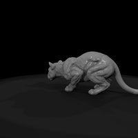 ant-146-cougar-female — thumbnail 7