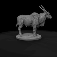 ant-241-eland-male — thumbnail 7