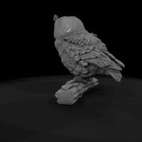 ant-120-great-horned-owl-adolescent — thumbnail 7