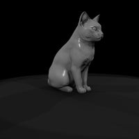sitting_heterochromatic_white_cat_3d_model_xmjcc4u4 — thumbnail 7