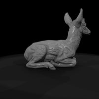 ant-054-pronghorn-adolescent — thumbnail 7