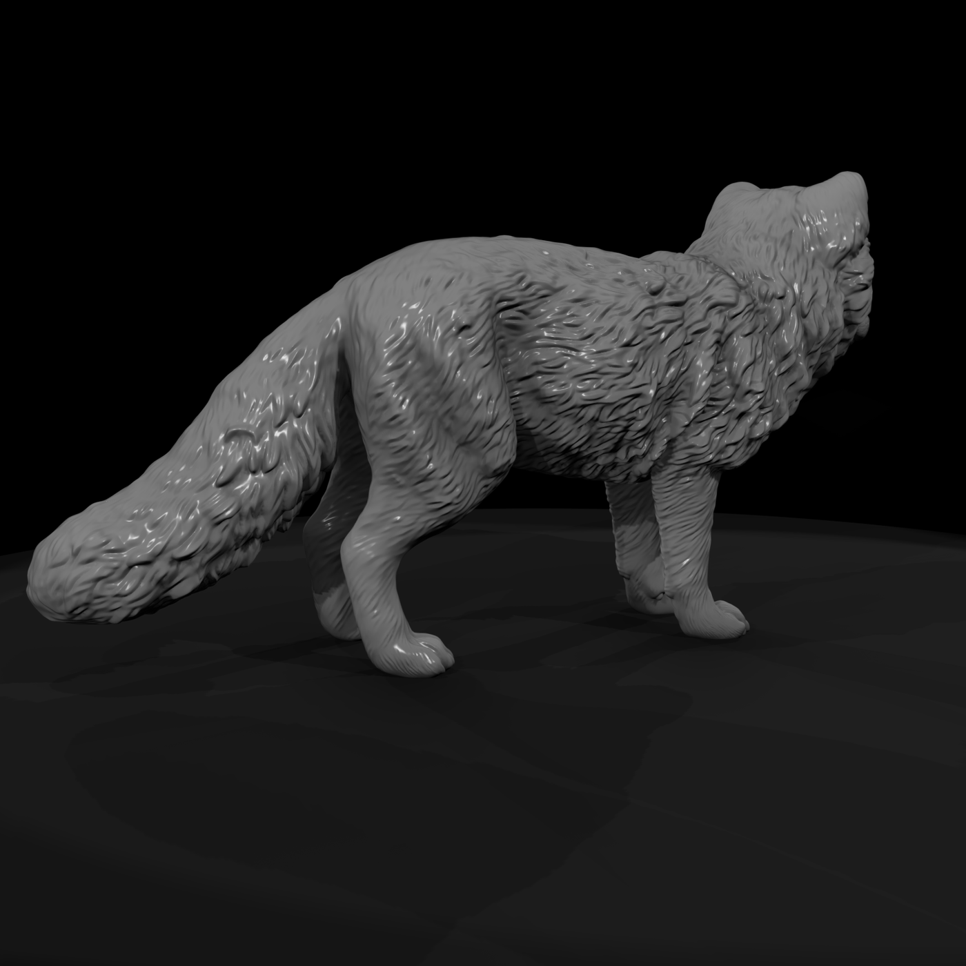 Ant 172 Arctic Fox Male