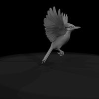 blue-jay-perched-miniature-3d-printable-bird-for-dioramas-263375 — thumbnail 8