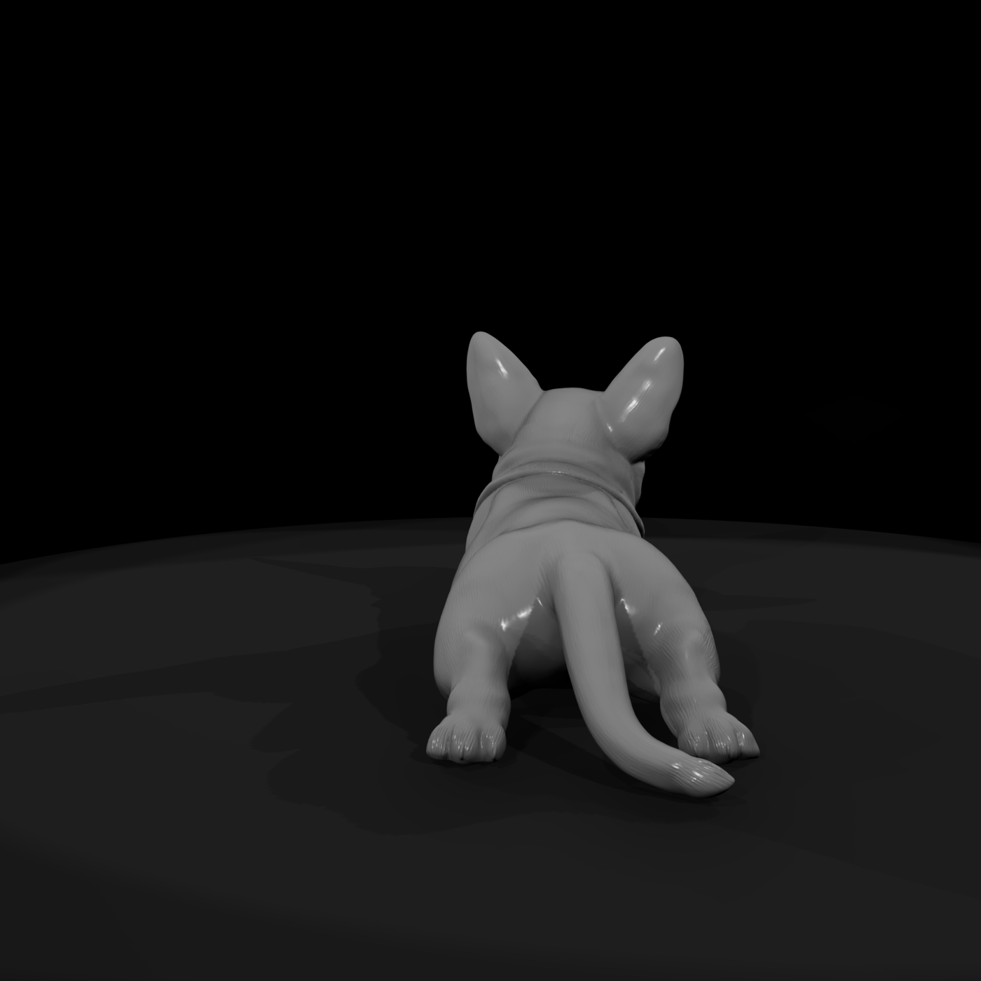 Resting Puppy
