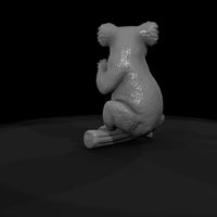 ant-266-koala-female — thumbnail 7