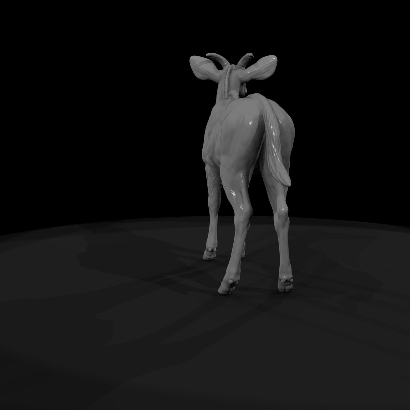 ant-069-greater-kudu-adolescent