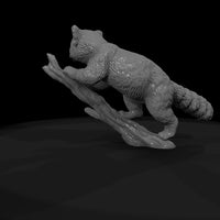 ant-148-red-panda-male — thumbnail 7