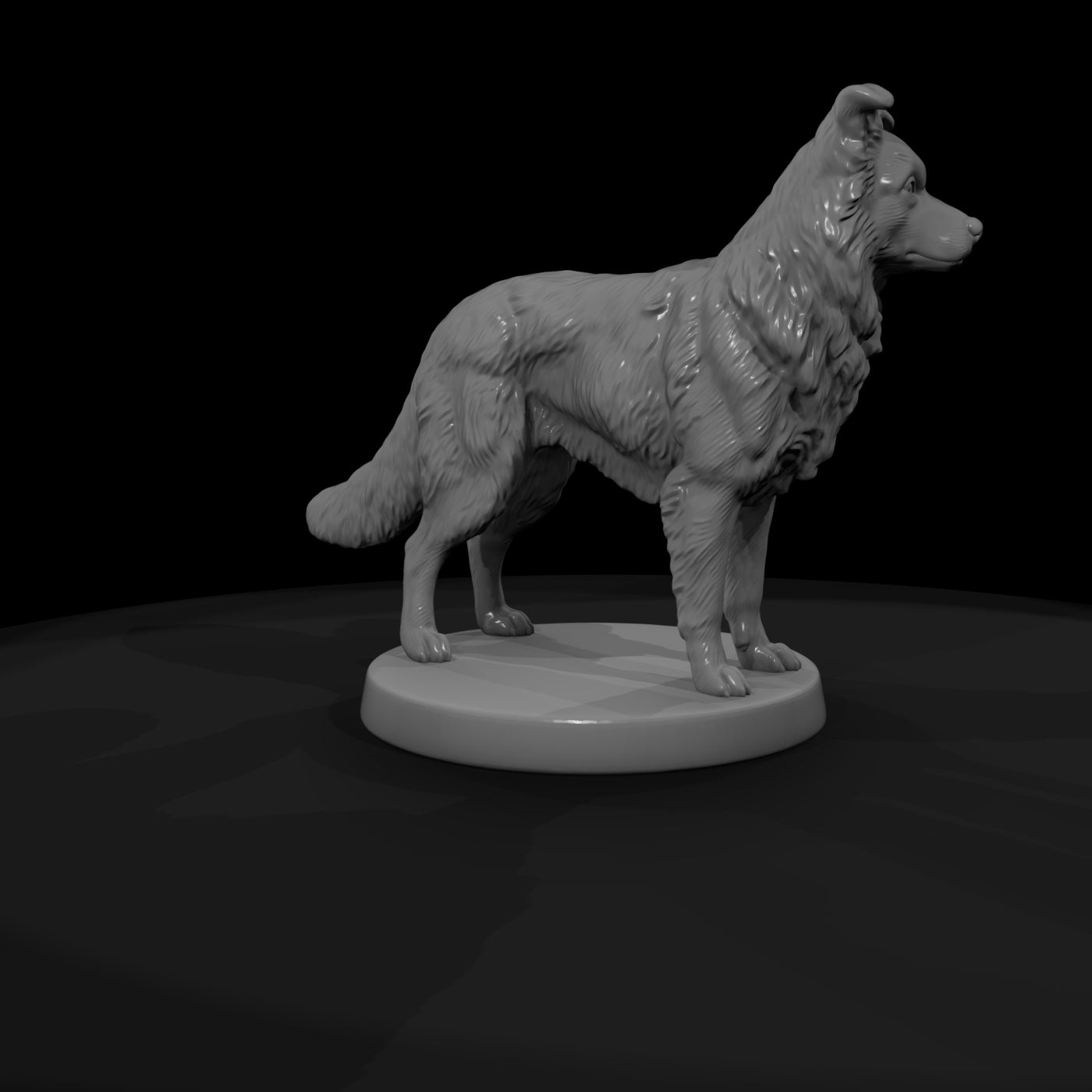 anim-11-border-collie-0762c7
