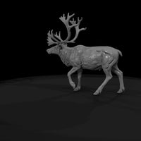 ant-061-caribou-male — thumbnail 7