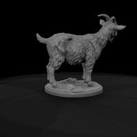 ww-0303-animal-goat — thumbnail 7