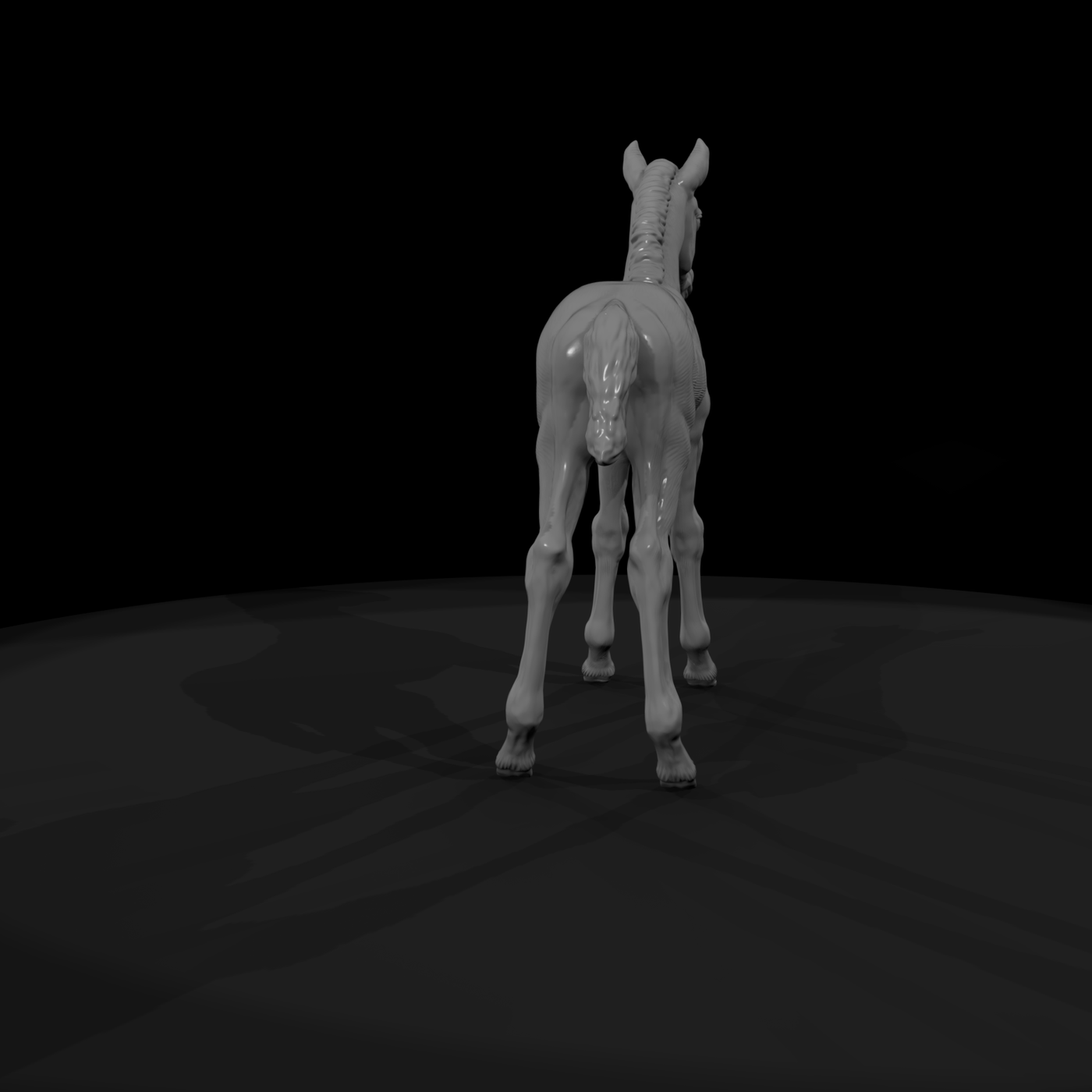 Ww 0289 Animal Foal