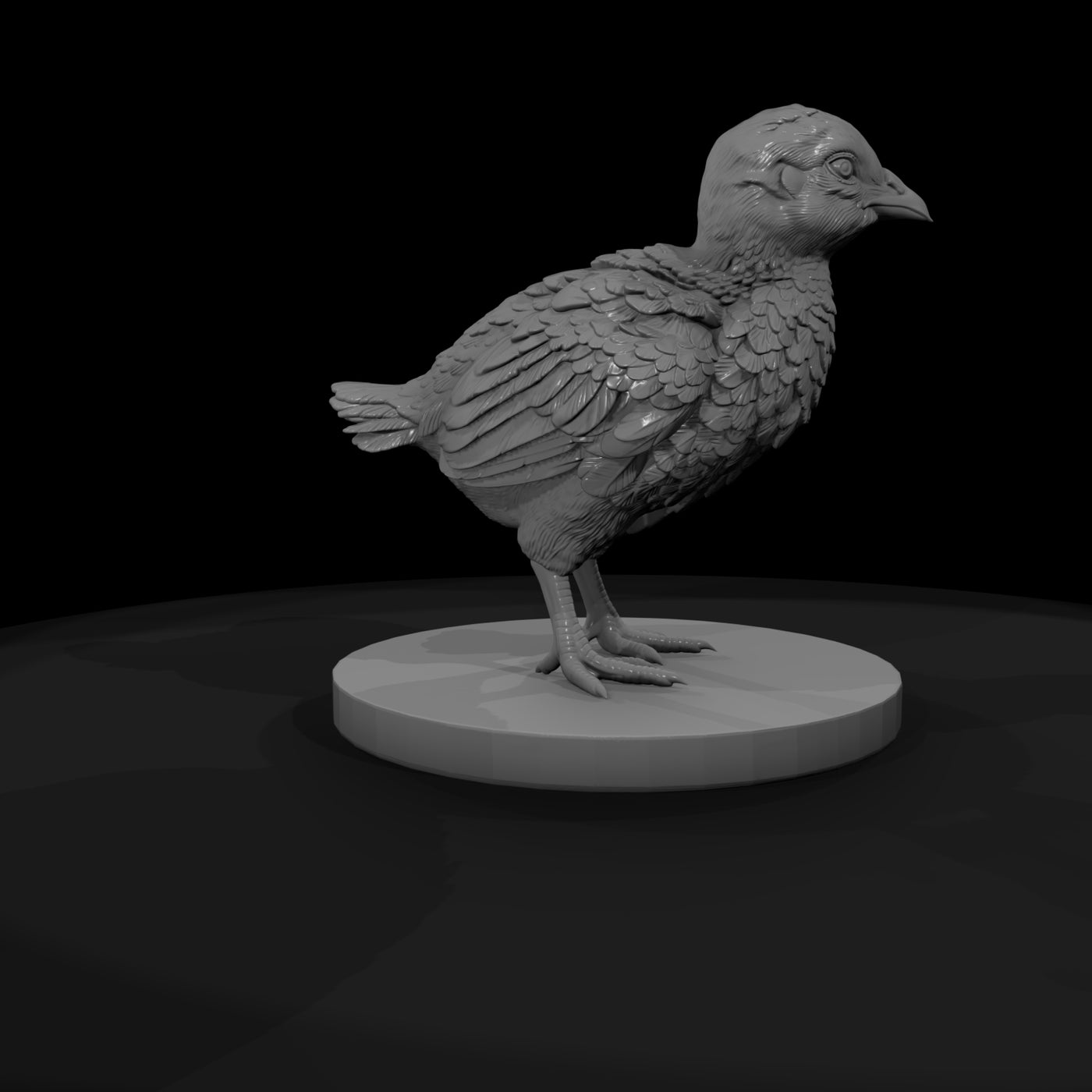 ant-099-ring-necked-pheasant-adolescent