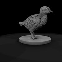 ant-099-ring-necked-pheasant-adolescent — thumbnail 7