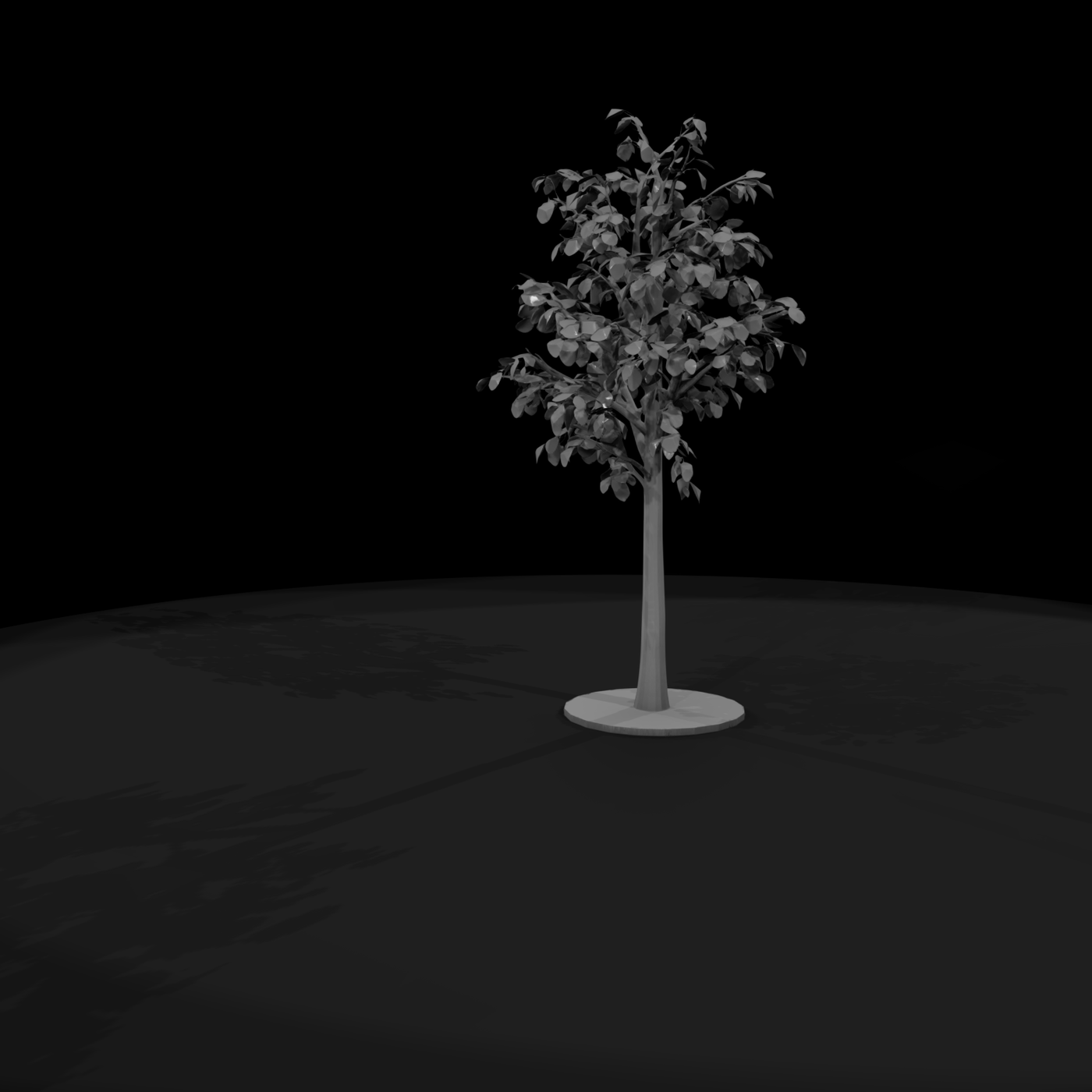 Stylized Birch Tree & Railway Layouts