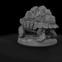 armored-rock-tortoise-043803 — thumbnail 8