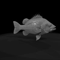 spiny-reef-predator-3d-printable-fish-miniature-852522 — thumbnail 8