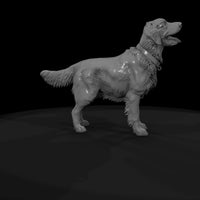 photorealistic-golden-retriever-miniature-high-poly-199683 — thumbnail 8