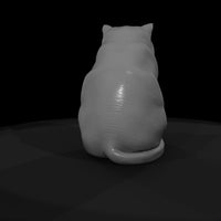 a-collection-of-housecats-exotic-b24ed562-meshref — thumbnail 7