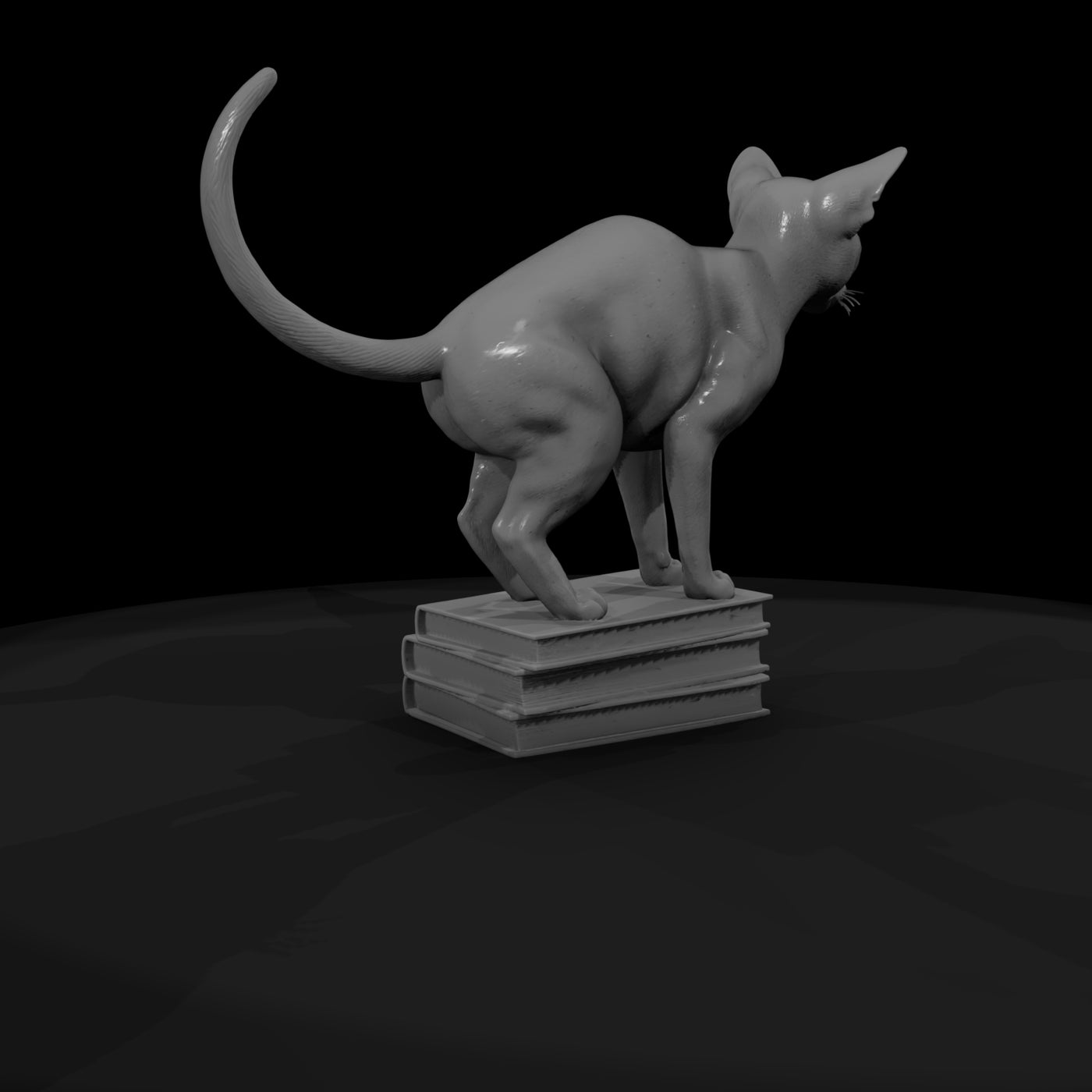 a-collection-of-housecats-abyssinian-77110fe8-mesh