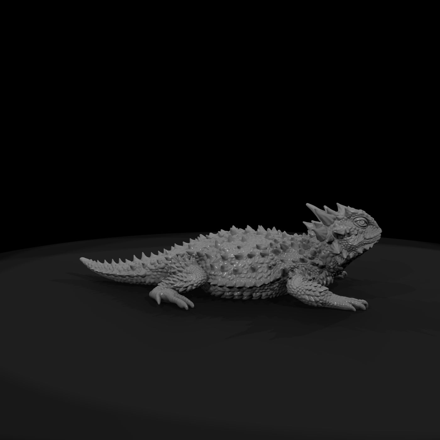 ww-0336-animal-horned-lizard