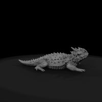 ww-0336-animal-horned-lizard — thumbnail 7