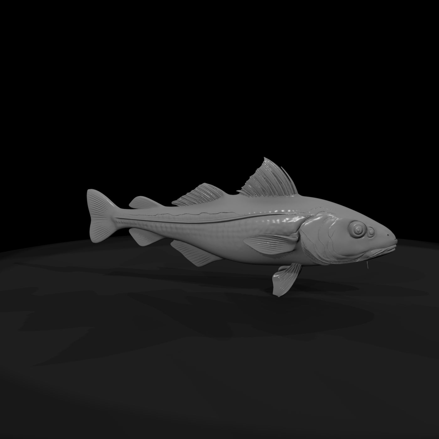 atlantic-cod-untextured-base-mesh-278575