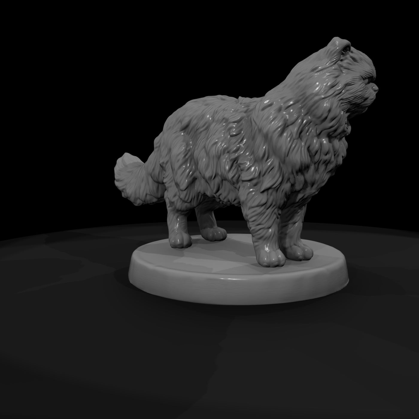 anim-15-persian-cat-01e230