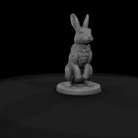 anim-24-rabbit-2f9bef — thumbnail 8
