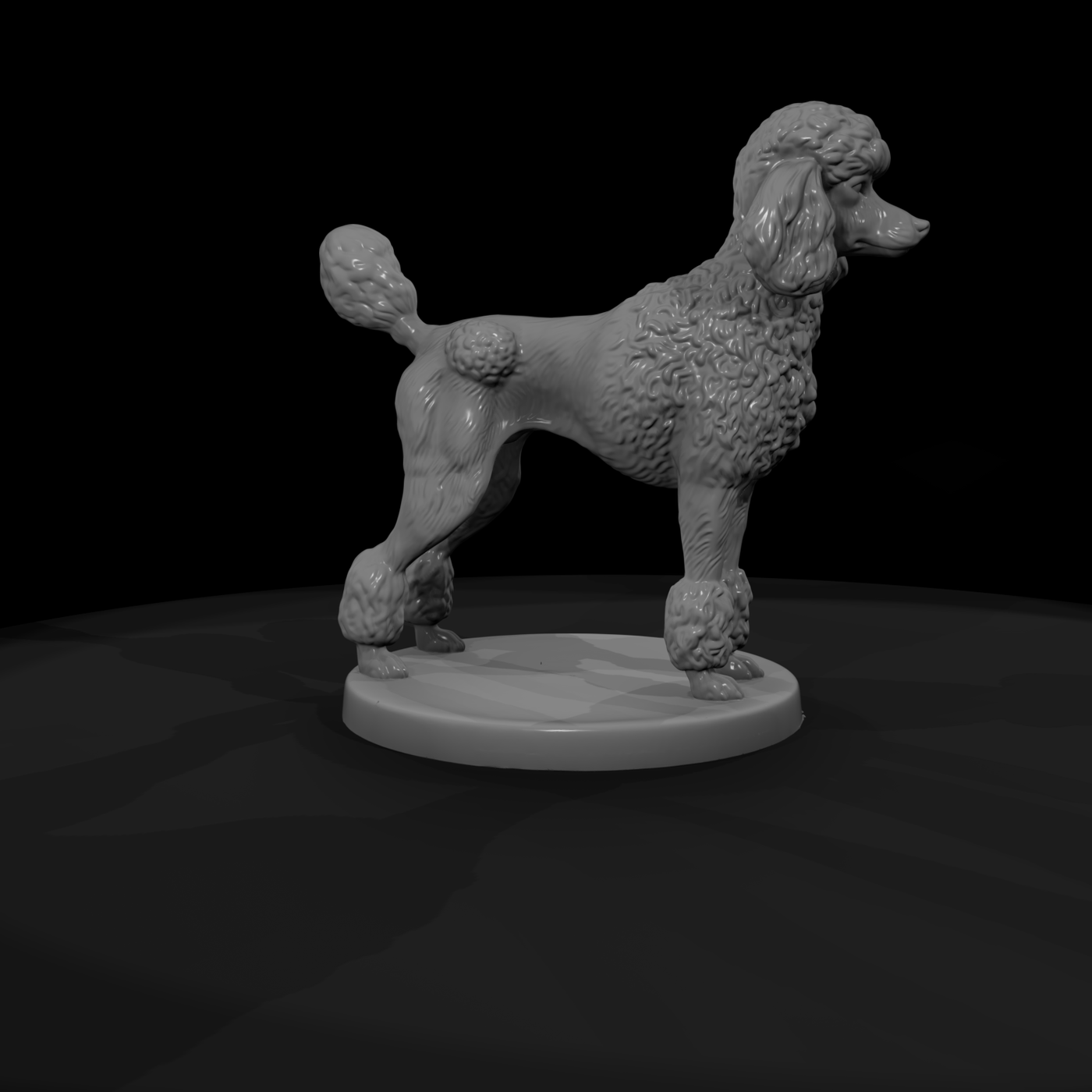Standing Standard Poodle