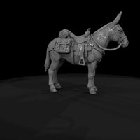 ww-0277-animal-mule — thumbnail 7