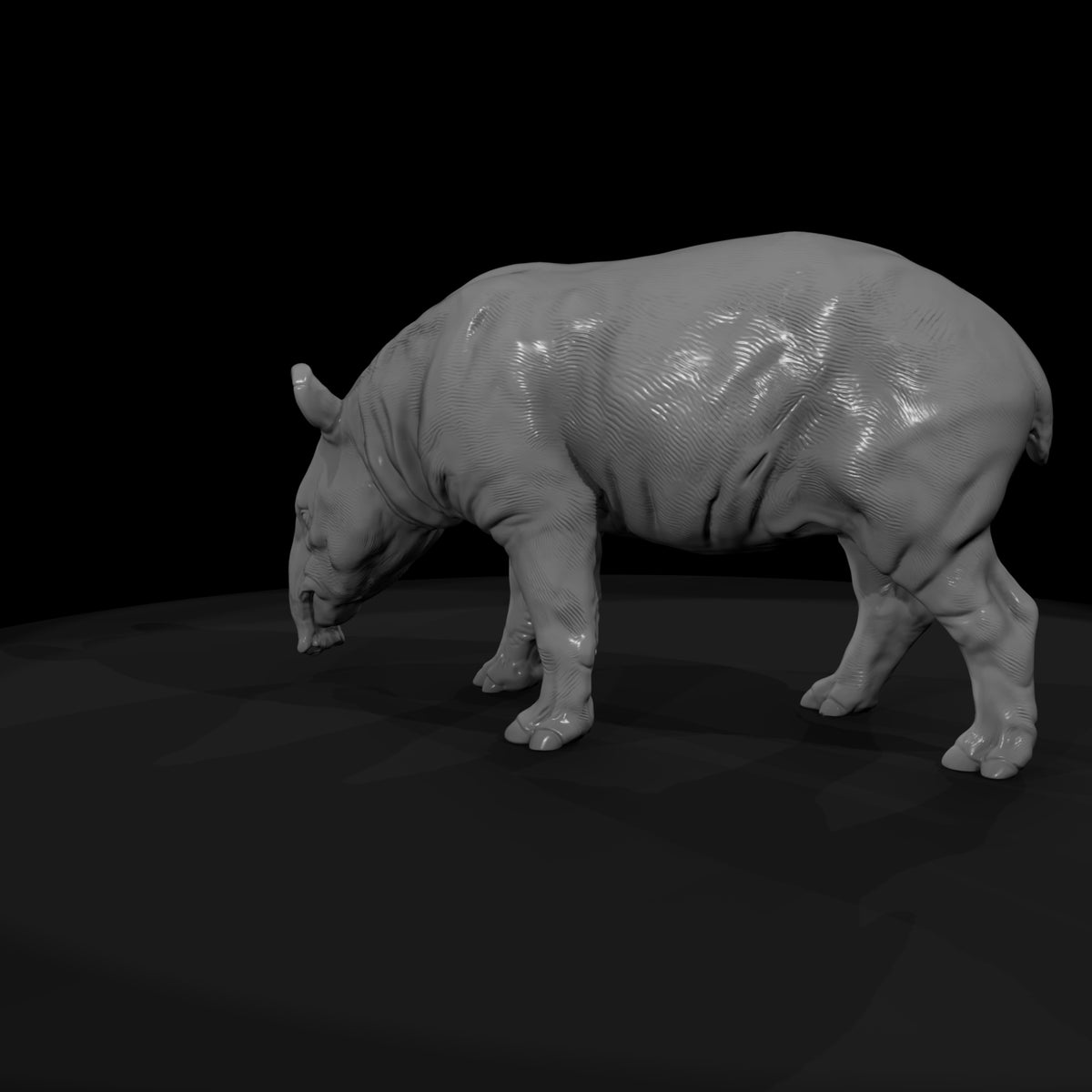 ant-253-malayan-tapir-male