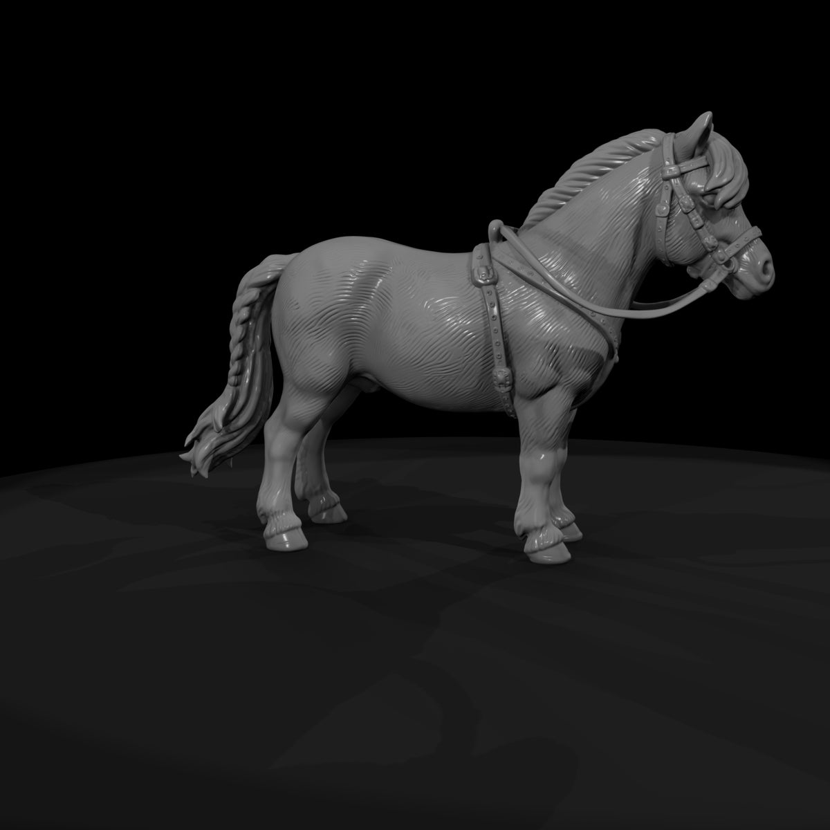 cir-132-animal-miniature-pony