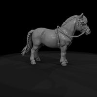 cir-132-animal-miniature-pony — thumbnail 7