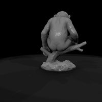 ant-195-chimpanzee-adolescent — thumbnail 7
