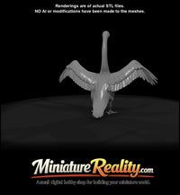 swan-spreading-with-wings-estimated — thumbnail 7