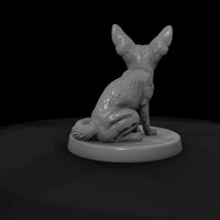 ant-175-fennec-fox-male — thumbnail 7