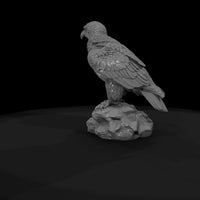 ant-117-golden-eagle-adolescent — thumbnail 7