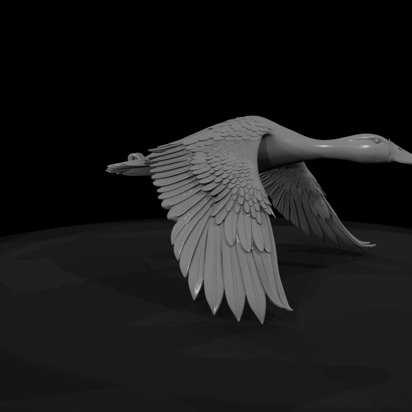 Flying Duck