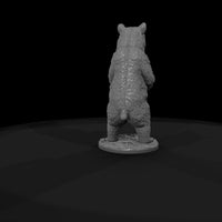 ww-0320-animal-black-bear — thumbnail 7