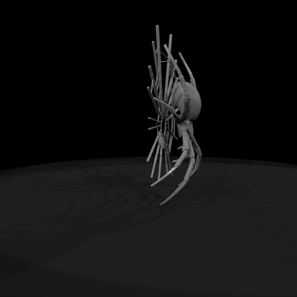 stylized_3d_spider_spiderweb_model_qdnmjejm