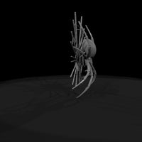 stylized_3d_spider_spiderweb_model_qdnmjejm — thumbnail 7
